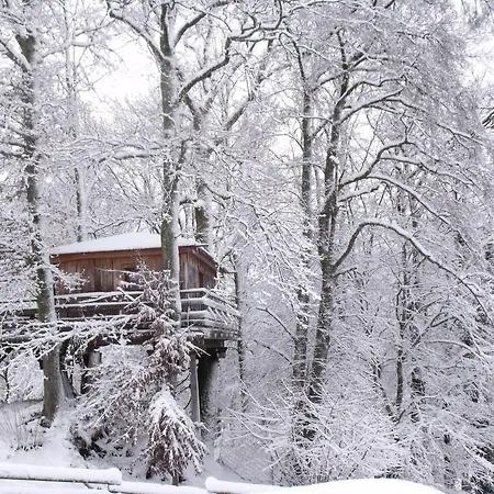 Dans Les Arbres Avec Terrasse Et Coin Barbecue, Ideale Pour Des Sejours En Pleine Nature - Fr-1-589-437 Chalet